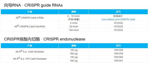 CRISPR基因編輯技術在藥物靶點篩選中的應用與服務