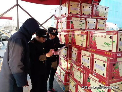 豐臺區開展節前食品安全專項檢查, 年貨新寵 成檢查重點